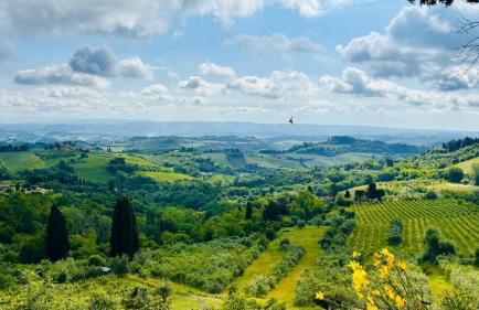 Fabio Apartments San Gimignano - Foto 66