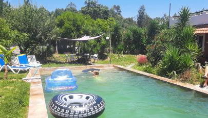 Yuccasa - Small Glamping Camping & Studio's - Foto 2, Garden, Garden view