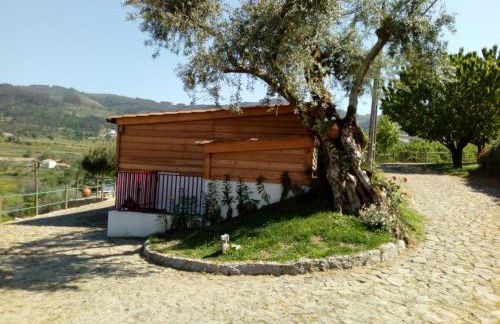 Quinta Souto Chão - Photo 16