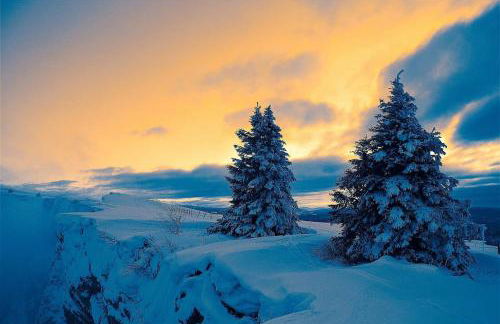 La Gentiane bleue, vue lac Saint Point - Foto 39