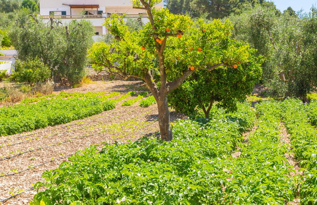 Villa Tavaglione - Foto 4