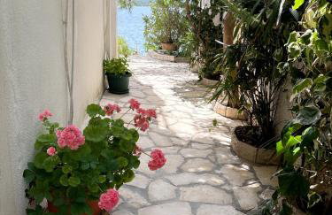 House Paula - Photo 28