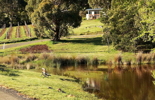 Gisborne Peak Winery Cottages - Foto 43
