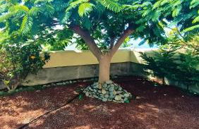 Casa Micaela - Exclusive - Foto 22