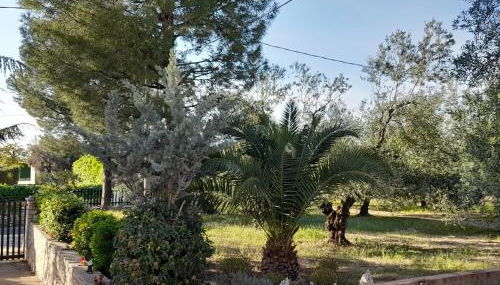 Villa Hakuna Matata - Foto 4