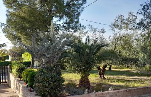 Villa Hakuna Matata - Foto 4