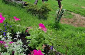 Domki pod Lipą. - Foto 49