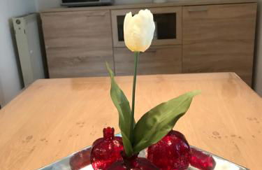 Ganzes Haus Nähe Köln Messe-Airport-City - Foto 49