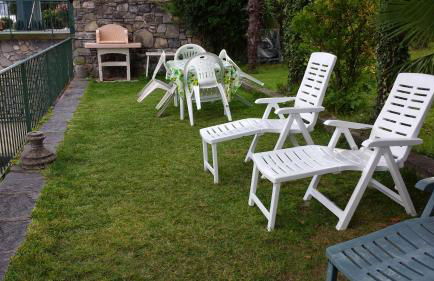 Le palme Antonella - Foto 14