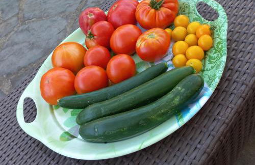 Tuscany To Love - Holiday Home - Casa Vacanze - Foto 29