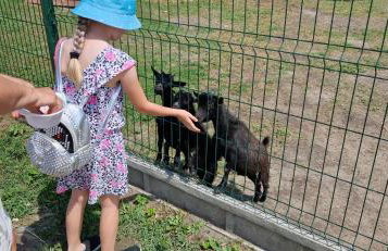 Agroturystyka Zielony Zakątek w Wiewiecku - Foto 29