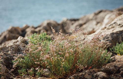Appartamento in Villa con accesso al mare, vista mozzafiato - Foto 40