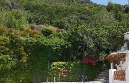 La Casita del Árbol Blanco - Photo 12