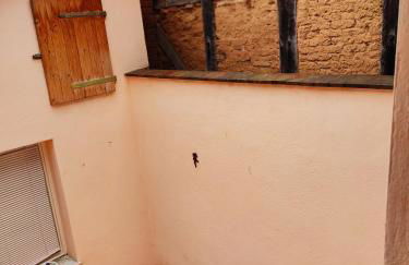 Buntspecht - Foto 16