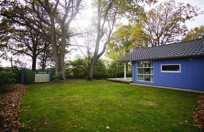 Ferienhaus Seeadler mit Sauna am Dummer See - Foto 13