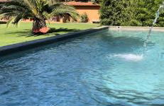 Quinta da Bicuda - Foto 37