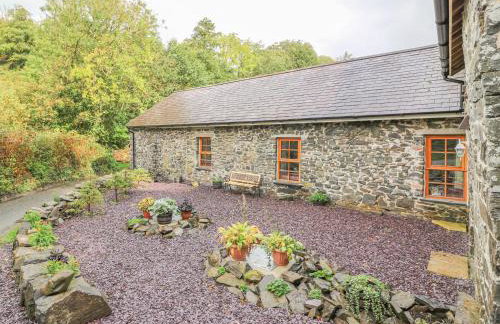 Felin Iago - Foto 23