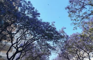 Apartment Marbella Centro - Photo 21