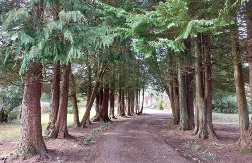 The Coach House- Canonbie - Foto 31