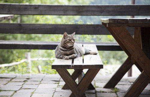 Hotel Rikhelan - Foto 76