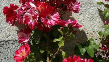 joli gîte plain pied - Foto 5