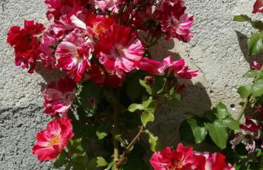 joli gîte plain pied - Foto 5