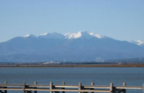 Apartement Pinede - Photo 20