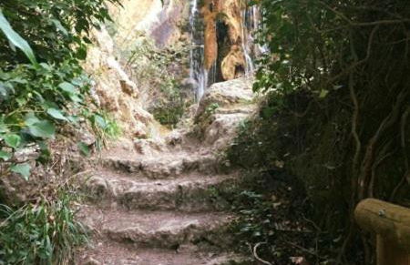 Los Gavilanes BOGARRA - Foto 26