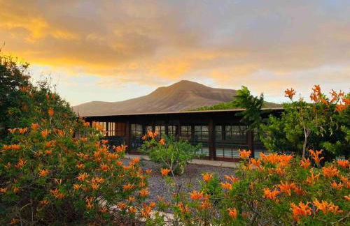 Erbania Heritage, naturally - Foto 49