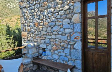 Studio Tsiliviani - Foto 12