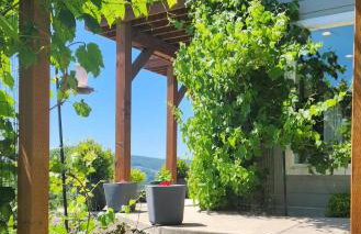 Panoramic River Views - Nature Framed in Every Window - Photo 51