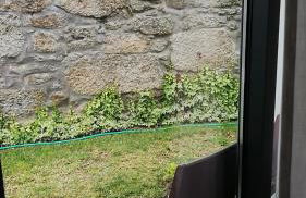 Maia Centro - Foto 30