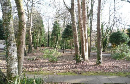 Seaside Escape - Foto 20