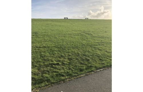 Huus Naturstrand am Diek - Foto 13