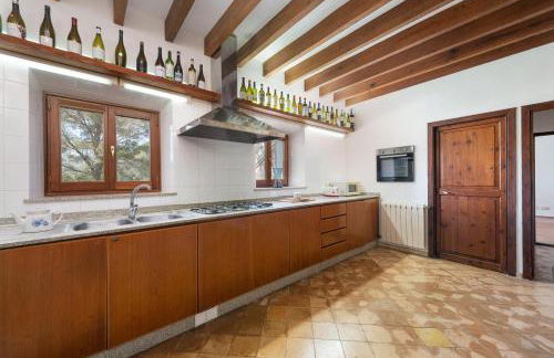 Son Muntaner - Photo 12