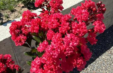 Villa Granea with indoor heated pool and sauna - Foto 11