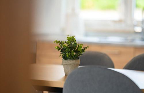 Apartmani Villa Ruby - Photo 41