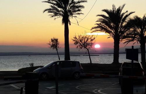 Puerto Simona 11A - Photo 41