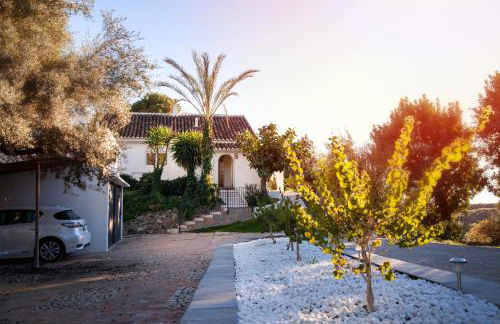 Finca palmers - Photo 20