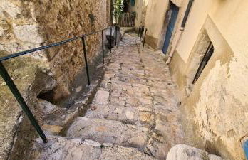 La salamandre - Foto 21