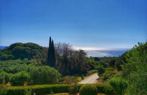 Artolithia Apartments - Foto 8