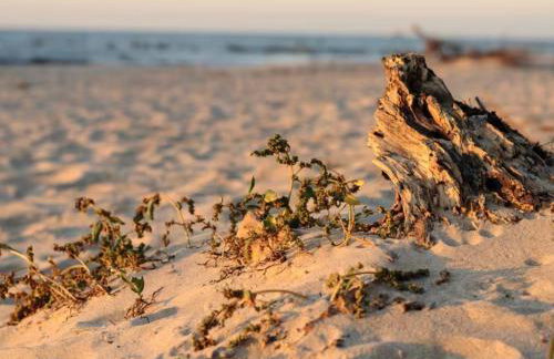Urlaubszuhause am Meer mit Kamin und Sauna - Foto 16