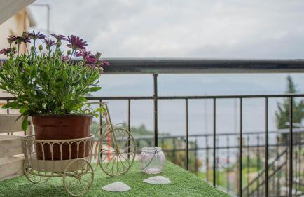 Grandma's House - Foto 29