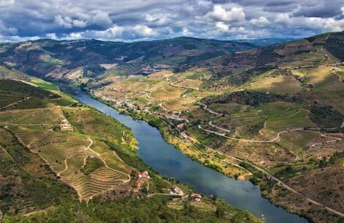 BABhouse Garagem do Adro - Coração do Douro - Foto 25