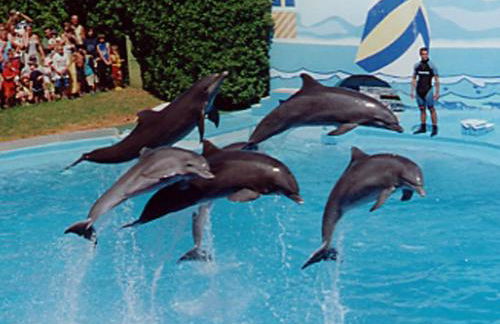 CASA OKSANA - Foto 56