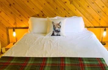 SPECTACULAR CATSKILLS 4 BEDROOM VACATION OASIS- Gorgeous Hunter Mountain Views! - Foto 10