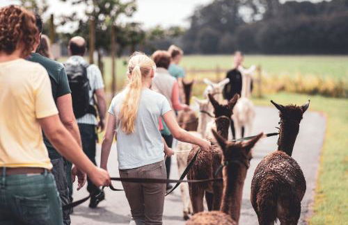 Ferienwohnung Sternenzelt Alpakas - Natur & Tiere hautnah erleben - Foto 43