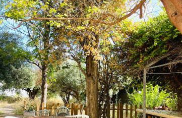 Casita Villa Serena Busot - Foto 17