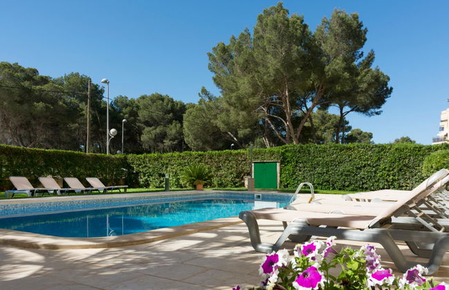 Tres Torres - Photo 22