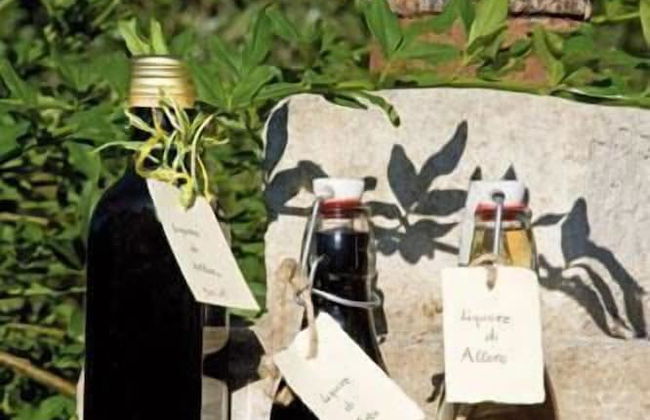 Tenuta Badessa - Photo 29